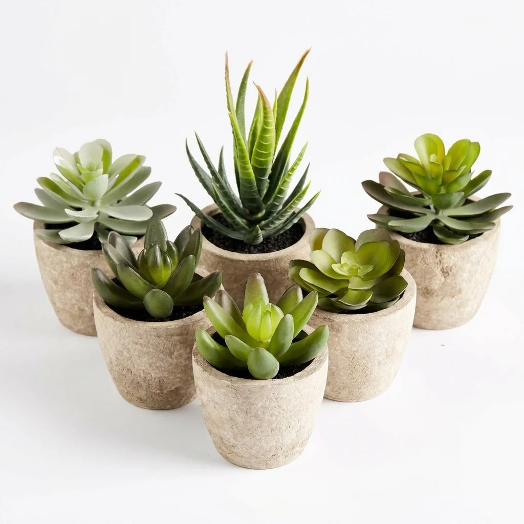 PRIMAISON Artificial Succulent Plants Set of 6 – photo 1